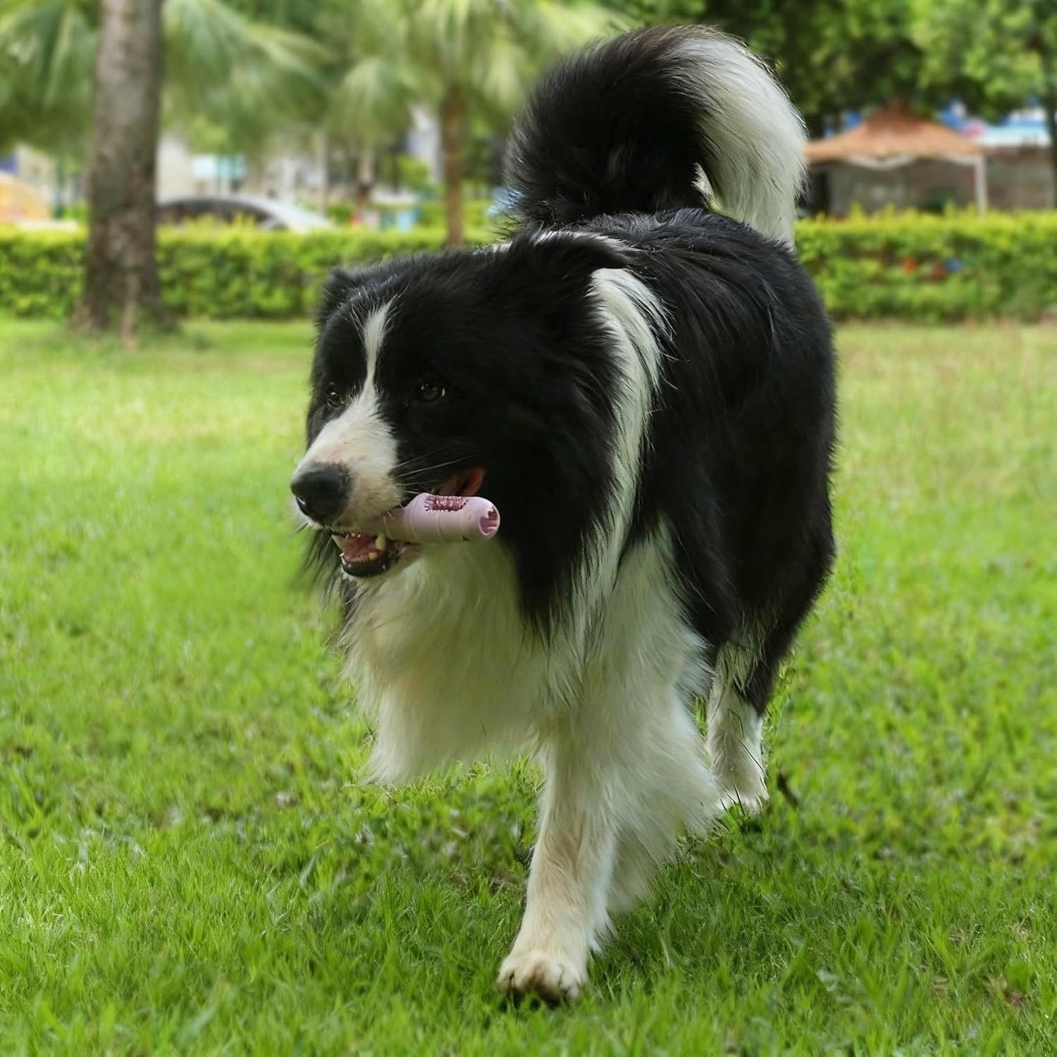 Superlative Chew Toys for Aggressive Chewers: Are You Ready?