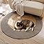 Premium Cotton Rope Area Rug for Cats, Cat Scratching Rug, Washable Round Vintage Reversible Woven Tassel Rugs, Wear-Resistant and Scratch-Resistant, Multiple Sizes (A#,40in)