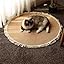 Premium Cotton Rope Area Rug for Cats, Cat Scratching Rug, Washable Round Vintage Reversible Woven Tassel Rugs, Wear-Resistant and Scratch-Resistant, Multiple Sizes (A#,40in)