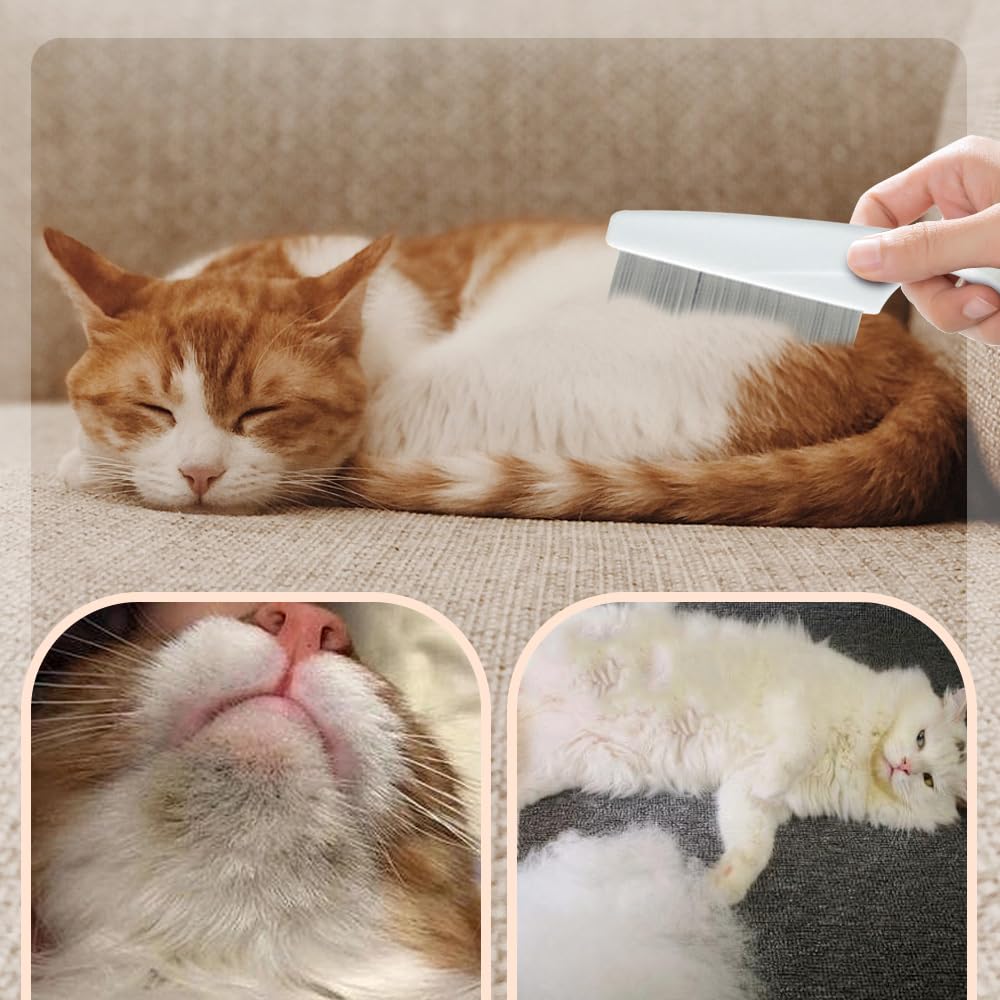 Pet Grooming Comb, Multifunctional Pet Hair Comb Flea and Tear Stain Removal, Dog Face Combs, Flea Comb for Dogs, Removes Crust, Mucus, Stain Combs for Grooming and Dehairing Face and Paws (Blue)